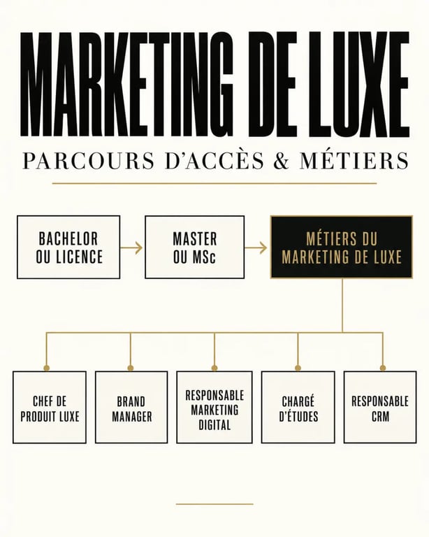Parcours de formation et métiers accessibles dans le marketing de luxe