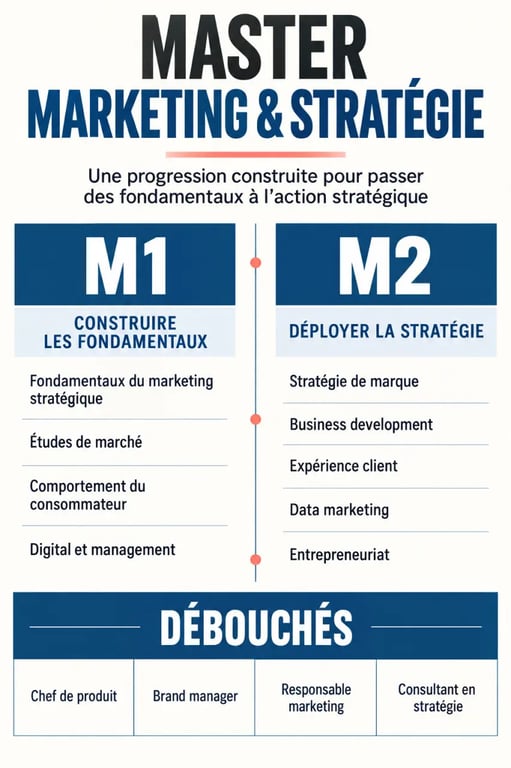Master marketing et stratégie : progression des compétences du M1 au M2 et débouchés professionnels